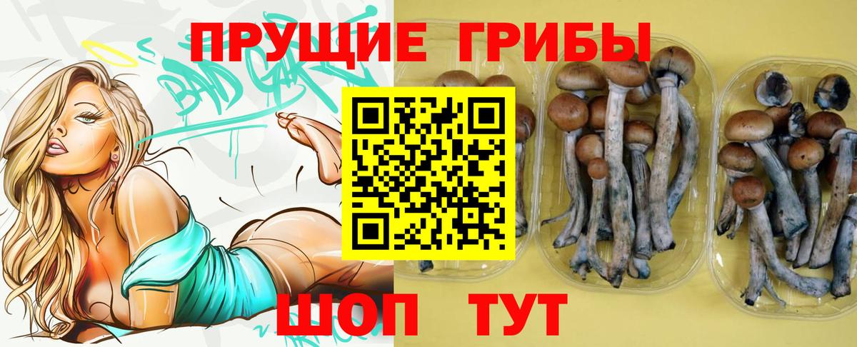 наркотики  Галлюциногенные грибы прущие грибы  Вход с VPN  Каменск-Уральский  Псилоцибиновые грибы MAGIC MUSHROOMS 