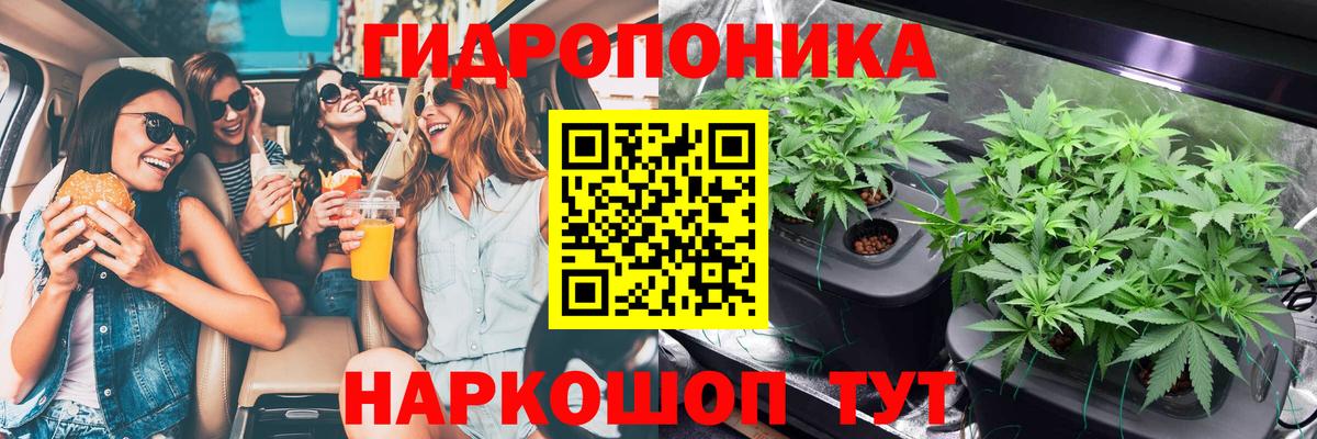 Бошки Шишки THC 21%  Шишки марихуана тримм  Вход с VPN  Каменск-Уральский  Канабис гибрид 